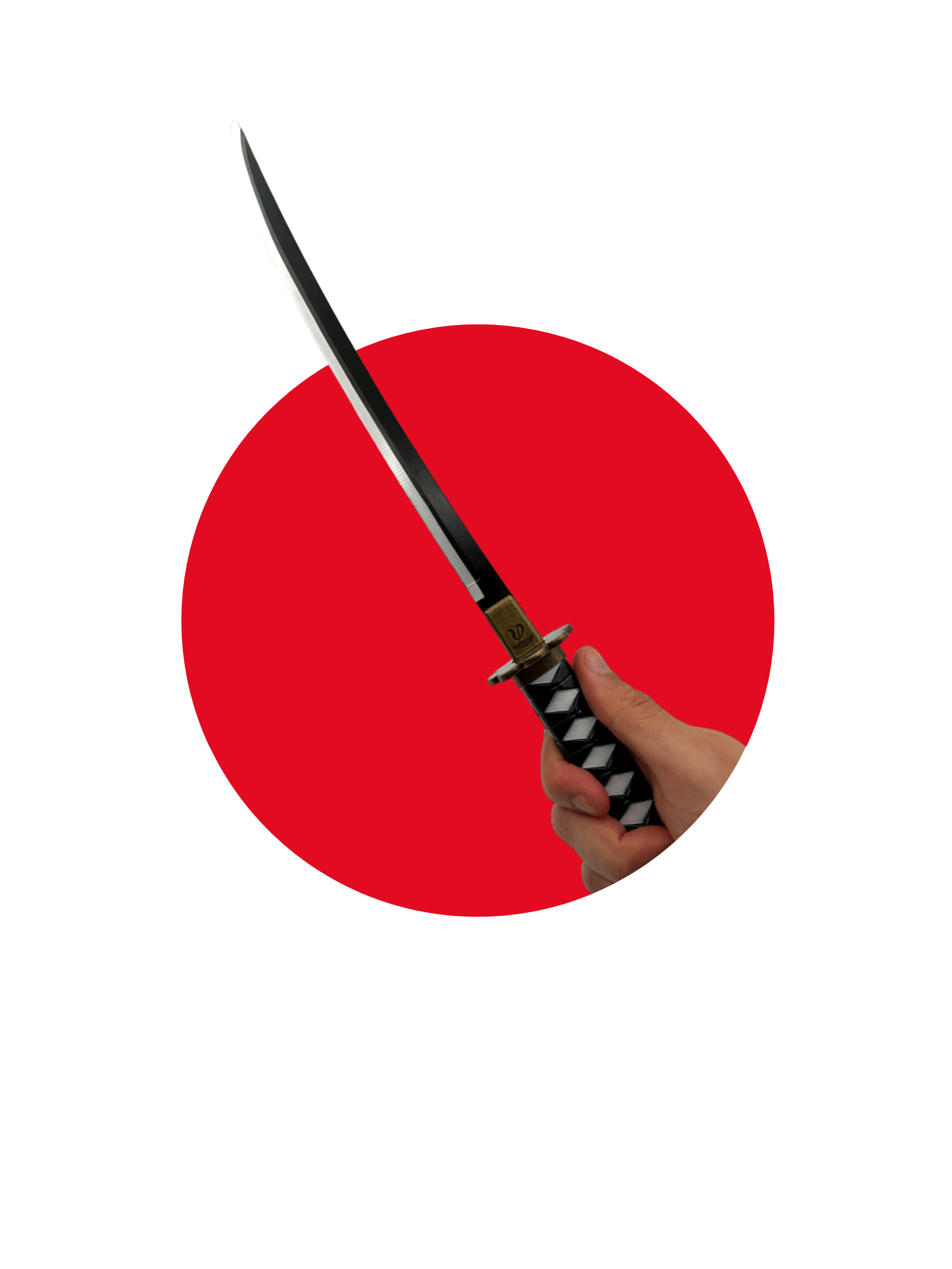 20" Shusui | One Piece